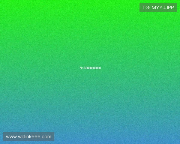 No.6：颠覆想象，重塑未来